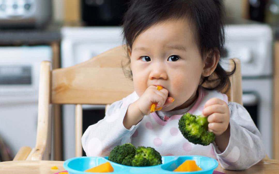 Thời điểm 9 đến 11 tháng bé có thể bắt đầu tập cầm nắm thức ăn