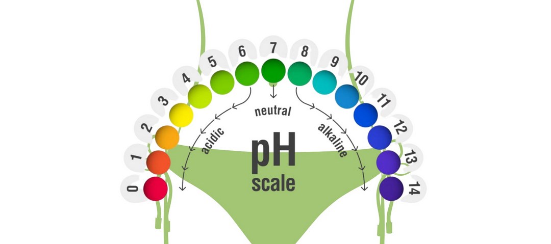 pH quyết định tinh trùng sống được bao lâu