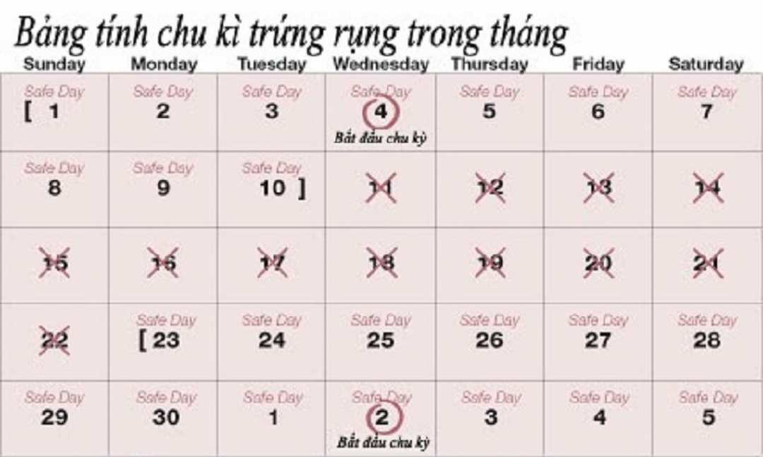 Nắm rõ chu kỳ kinh, xác định đúng thời điểm rụng trứng