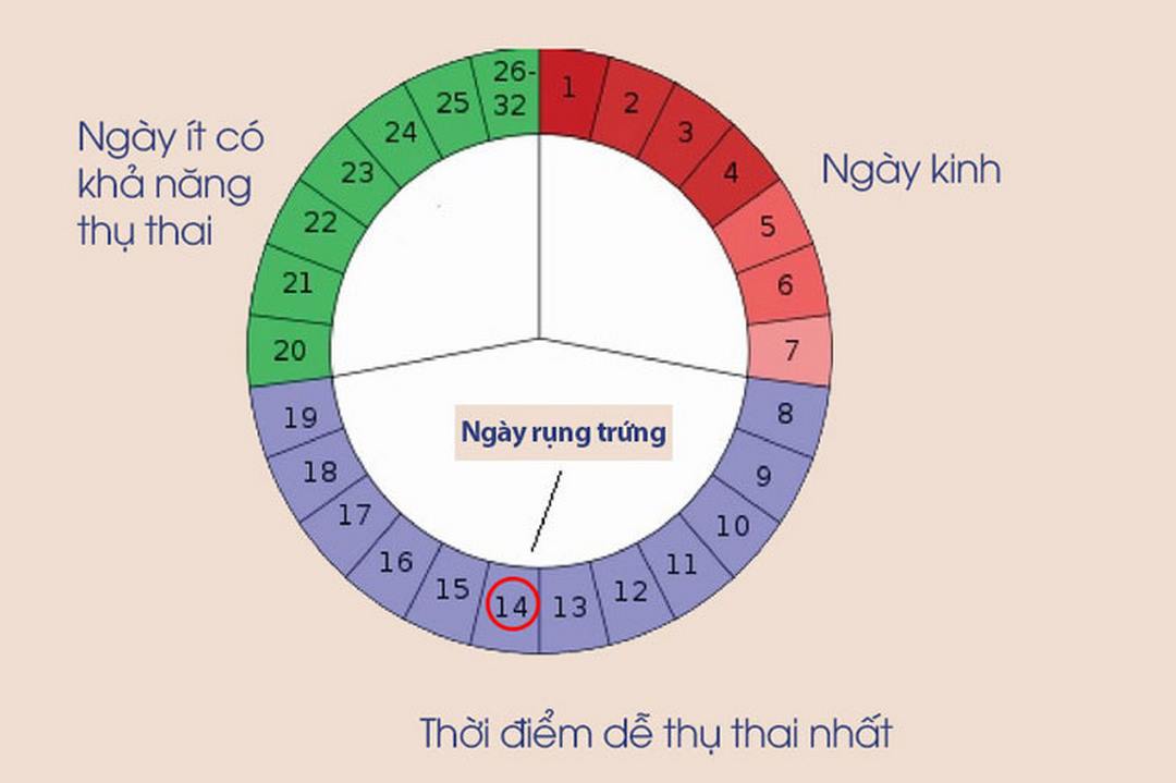 Phương pháp tính ngày tránh thai dựa trên chu kỳ kinh nguyệt