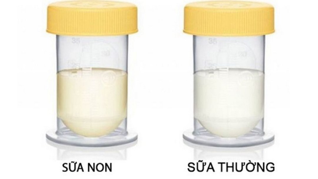 Thành phần quan trọng nhất trong sữa non chính là colostrum