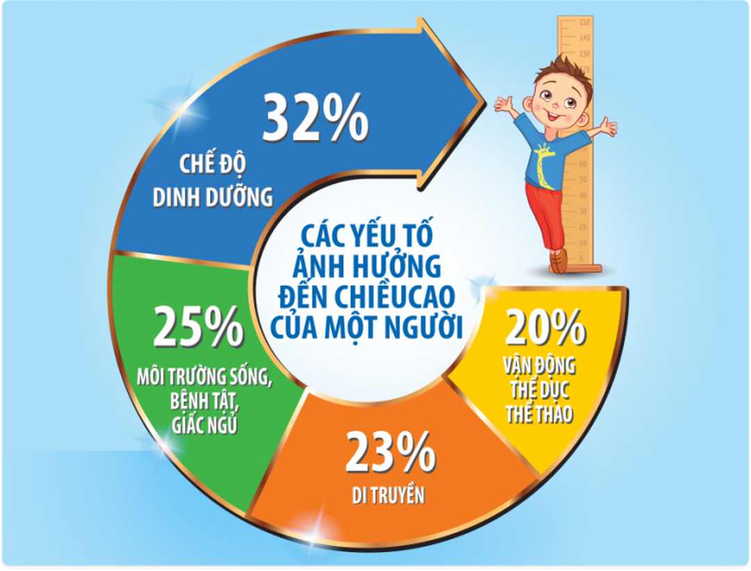 Yếu tố ảnh hưởng đến chiều cao