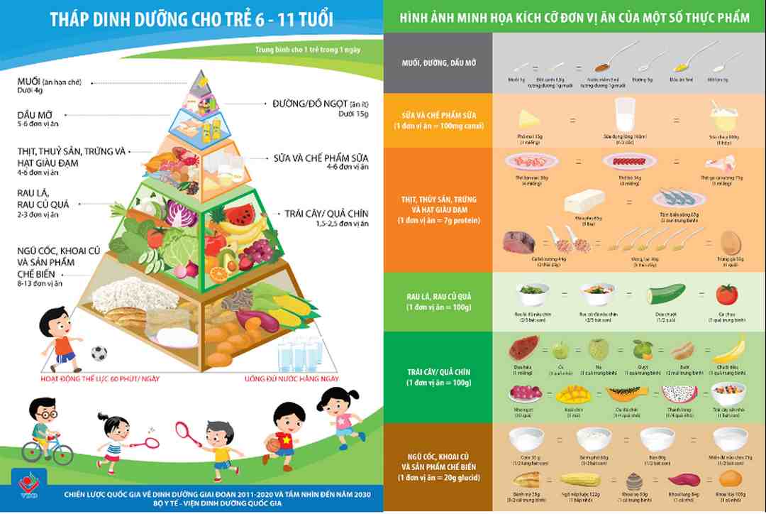 Tháp dinh dưỡng cho trẻ 6-11 tuổi và hình ảnh minh họa kích cỡ đơn vị ăn của một số thực phẩm.