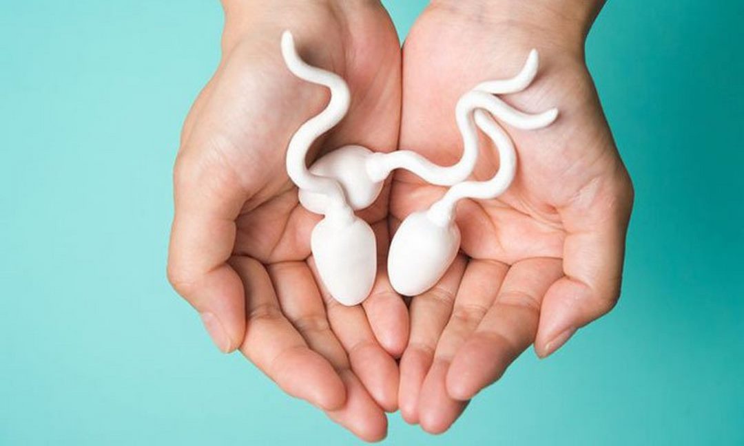 Khả năng di chuyển của tinh trùng có vai trò gì trong thai kỳ?